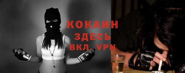 кокс Богородицк