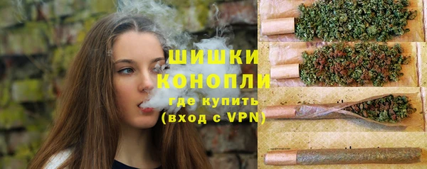 кокс Богородицк
