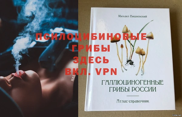 2c-b Богданович